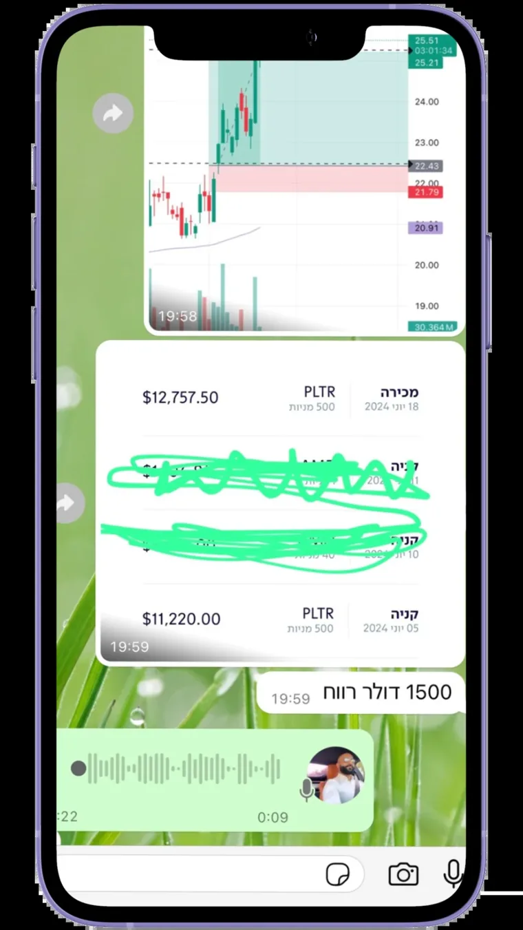 הודעה מקורית מתלמיד — צילום מסך 8