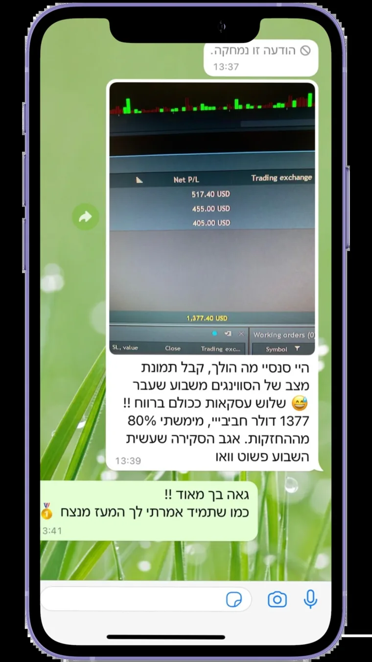 הודעה מקורית מתלמיד — צילום מסך 15