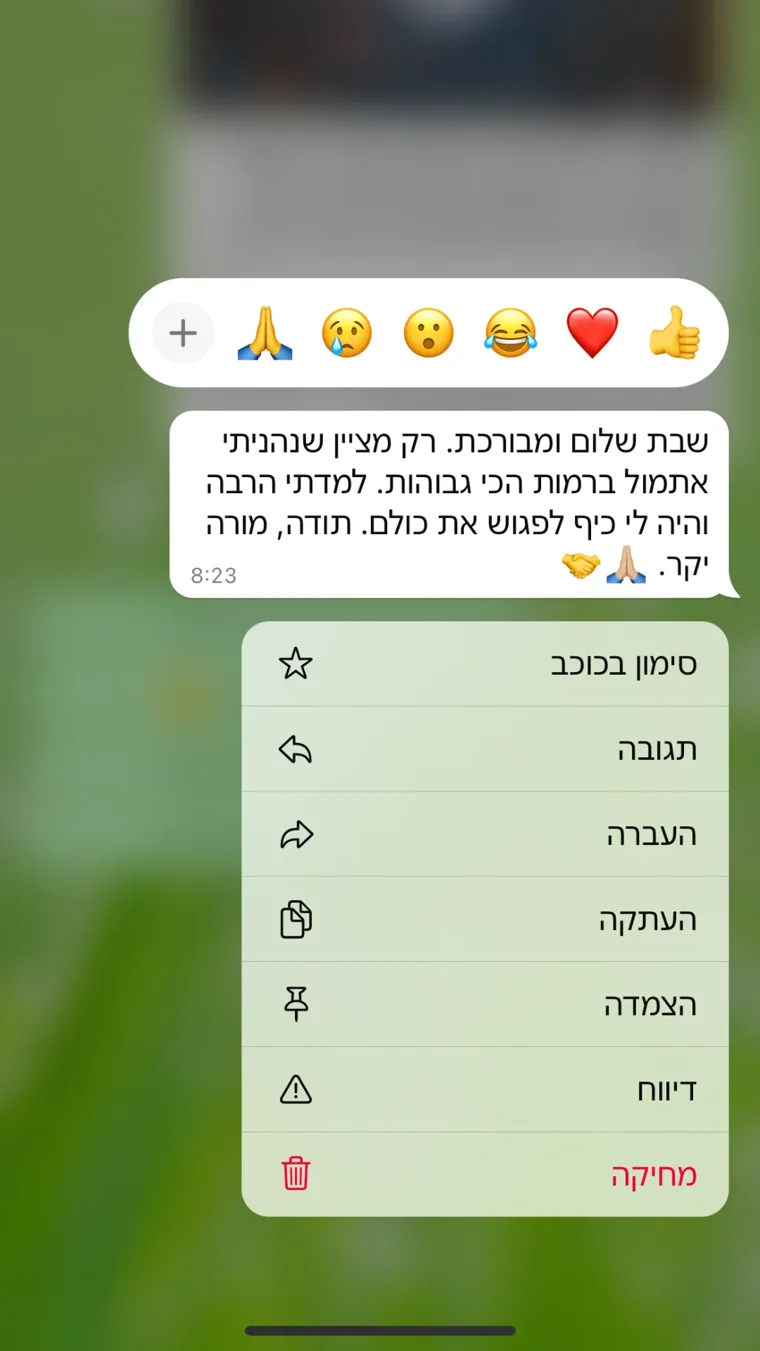 הודעה מקורית מתלמיד — צילום מסך 18